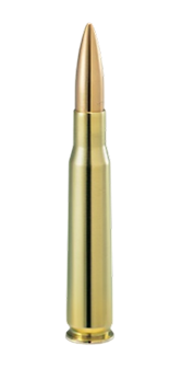 12.7 × 99R MM FMJ